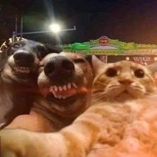 Imagem do grupo Conexão Infinita
