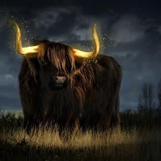 Imagem do grupo Ediçao de fotos