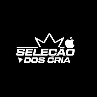 Imagem do grupo ＳＥＬＥｃａＯ ＤＯＳ ＣＲｉＡ