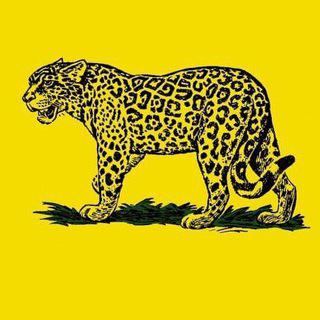 Imagem do grupo Vida no Campo, Anarquismo e Sobrevivencialismo