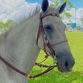 Imagem do grupo vida no campo / vaquejada 🐴