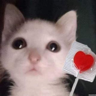 Imagem do grupo Namoro ou Amizade 👀🍒