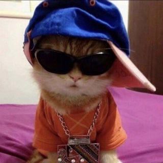 Imagem do grupo TOMAN chat