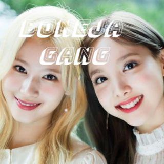 Imagem do grupo Boneja Gang 🐰