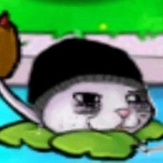 Imagem do grupo Armazém Estragado